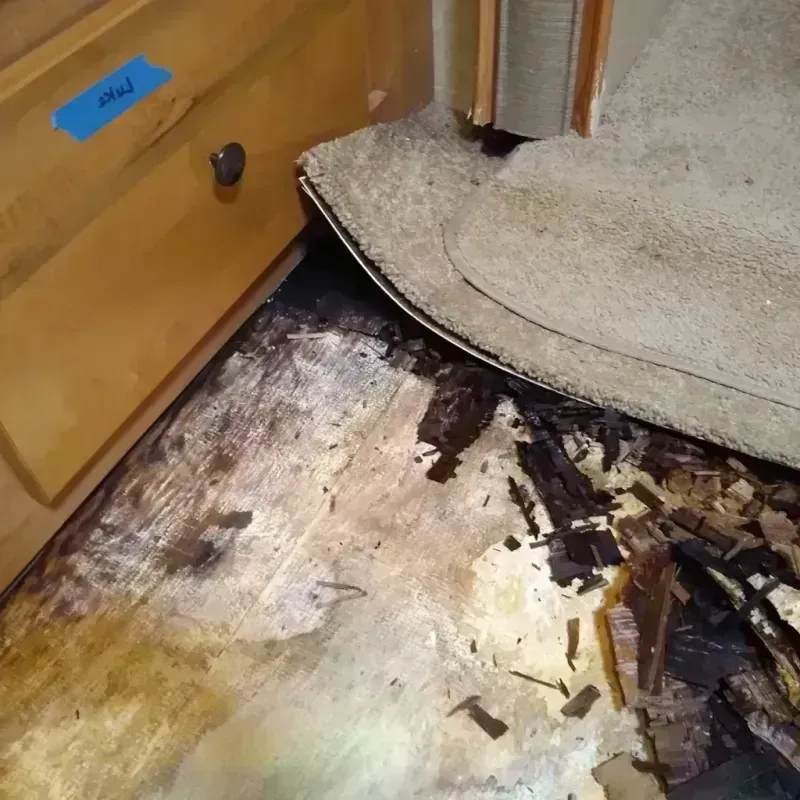 Best Wood Floor Water Damage Service in Hawthorne, NY